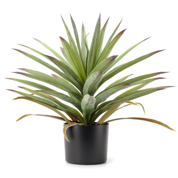 Décor Artificial Agave Plant in Pot (20-Inch)