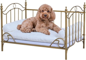 Pet Bed, Dog Bed with Metal Frame and Detached White Velvet Cushion with 2 Pillow for Small Dog