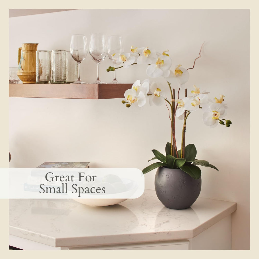 Faux White Orchid Plant, 25 in, Grey, Home Decor