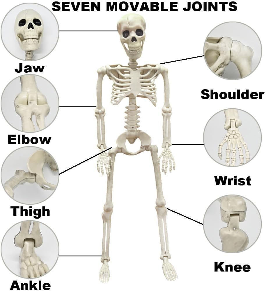 36" Skeleton Halloween Decorations, 3FT Realistic Full Body Movable Posable Joints Skeleton, Creepy Halloween Plastic
