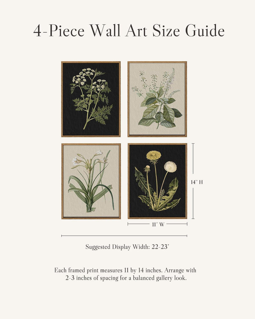 Framed Botanical Wall Art, 4 Piece Vintage Flower Prints