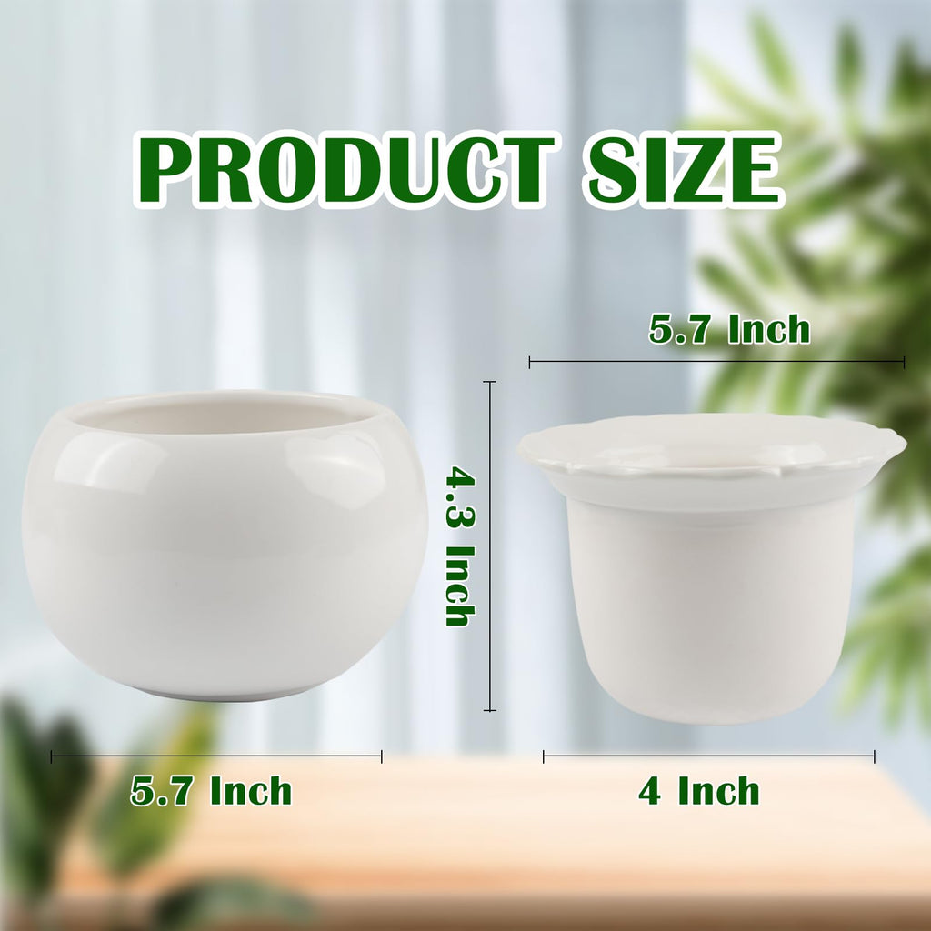 6 Inch Self Watering Ceramic African Violet Pot Flower Pot Indoor