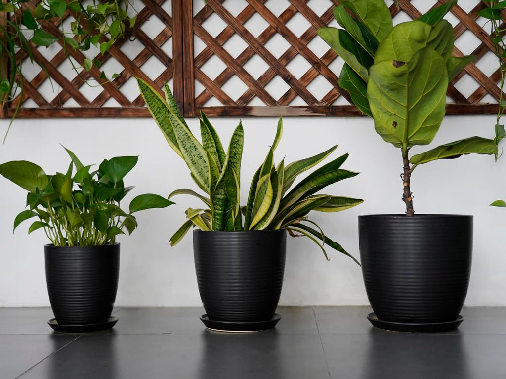 Ceramic Plant Pot - 8 Inch Ceramic Planter for Indoor Plants Glazed Round Flower Pot with Drainage Hole and Saucer