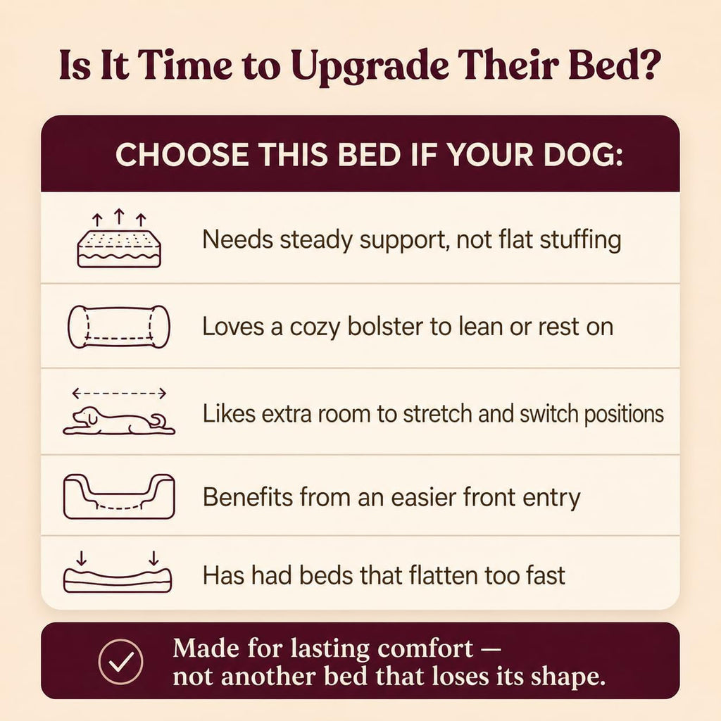 Cooling Orthopedic Dog Bed for Large Dogs, Memory Foam, Washable Cover