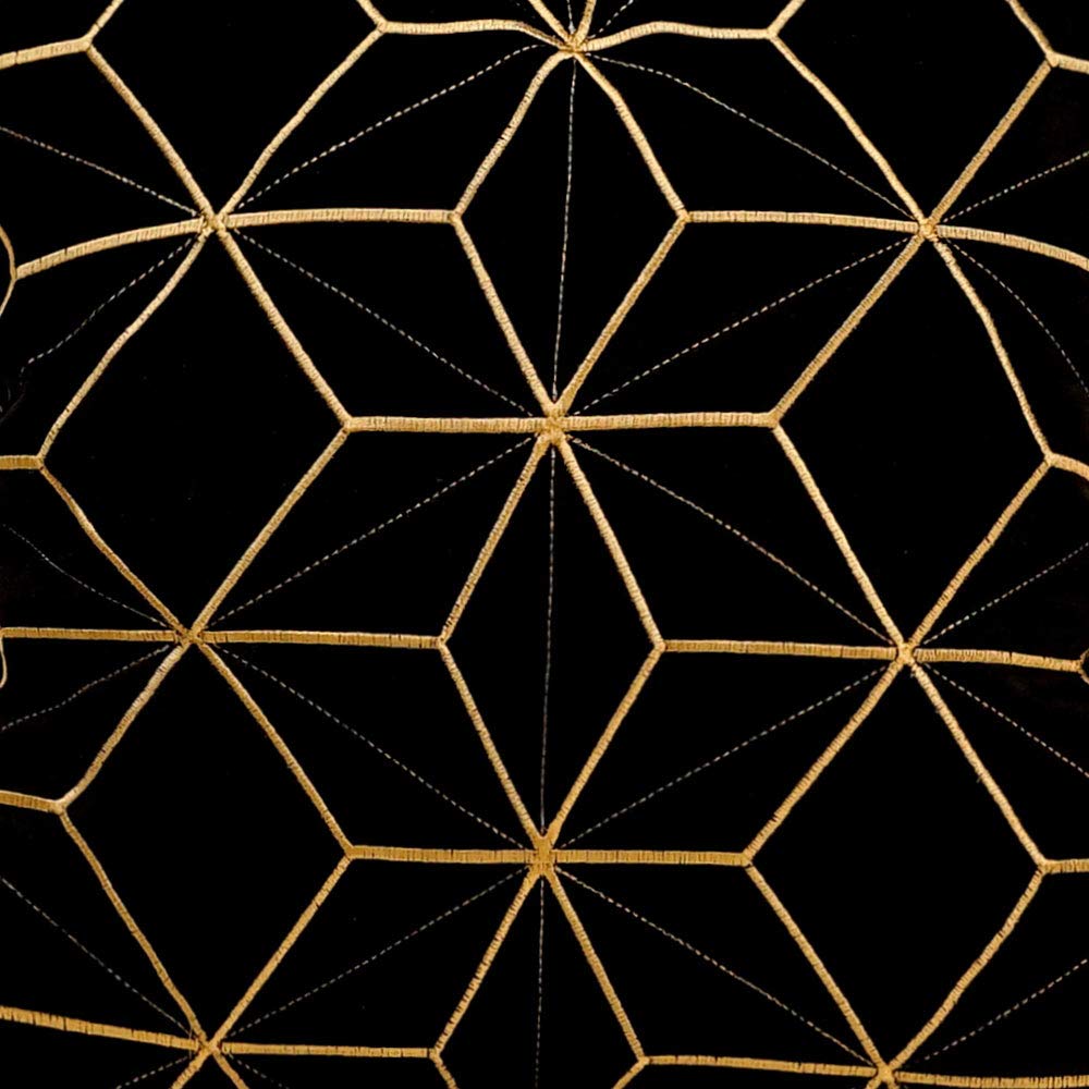 Throw Pillow Cover 20 x 20 Inch, Black Gold, Velvet, Hidden Zipper