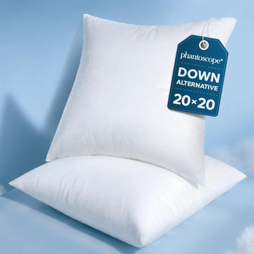 Throw Pillow Inserts Decorative Throw Pillows 20x20 Inch 2 Pack - Set of 2