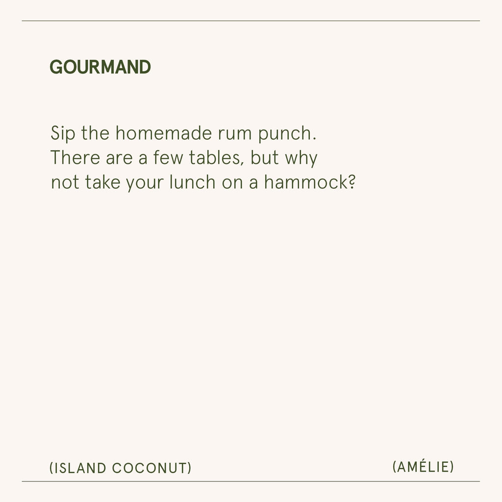 Island Coconut Vanilla Scented Candles, Natural Soy