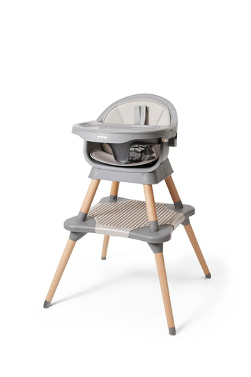 5-in-1 High Chair - Booster - Floor Seat - Toddler Table & Chair | 6 months to 6 years, 3-position tray with cover