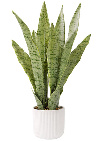 Artificial Realistic Snake Plant, White Pot, 21.5"