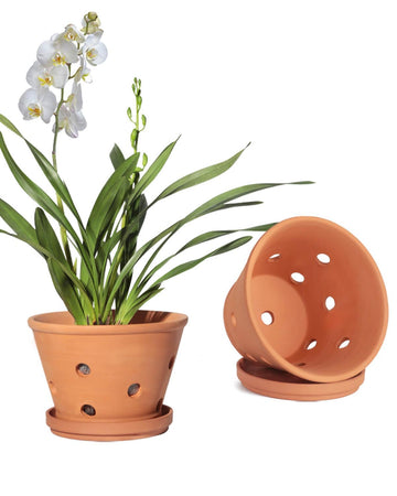 8 Inch Terracotta Orchid Pots with Holes and Saucers - 2 Pack Clay Orchid Planter Pots for Repotting, Breathable