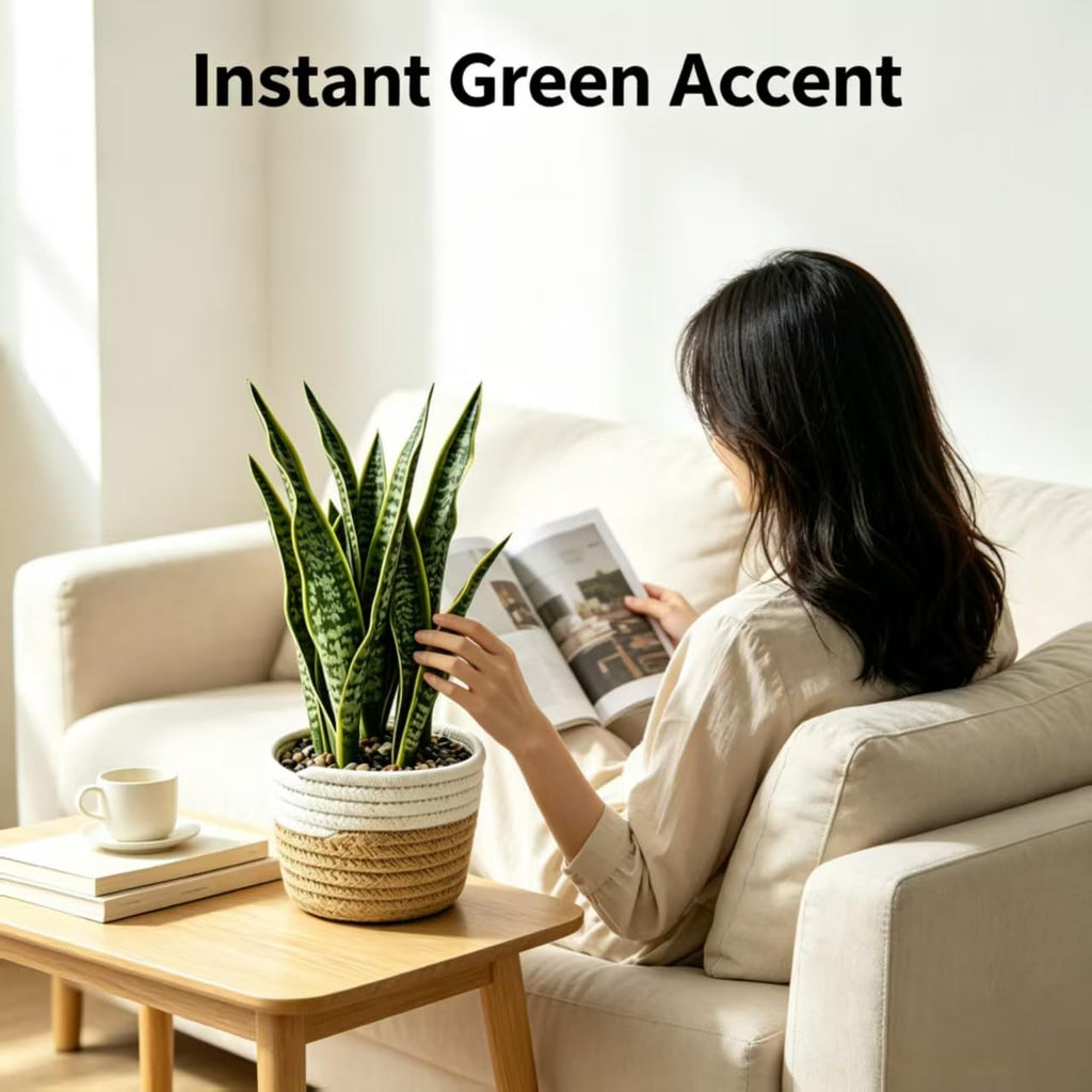 15"Artificial Snake Plant in Handwoven Rattan Planter Sansevieria Faux Indoor Branches with Lush Realistic Green