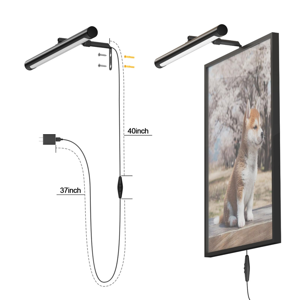Picture Lights for Paintings Plug in, 16" Adjustable LED Picture Light Art Light with Timer, Remote Control Gallery