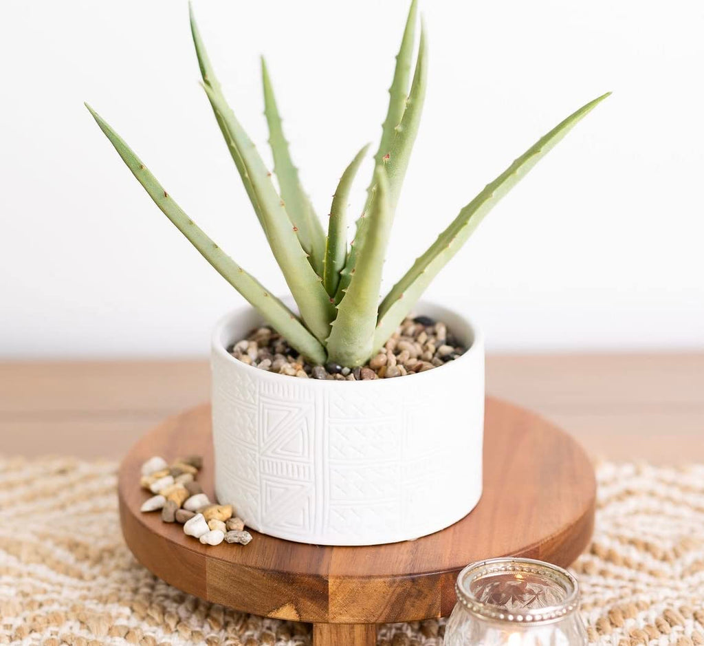 Farmhouse Artificial Plant in White Ceramic Pot | 10" high sage Green Faux Agave Plant | Fake Plant for Desk Decor