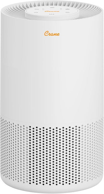 True HEPA Air Purifiers for Home, Up To 250 Sq Ft, Air Purifiers For Bedroom, and Office, Removes Du
