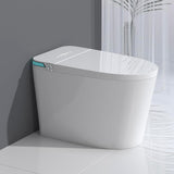 Luxury Intelligent Smart Toilet with Instant Warm Water Sprayer and Dryer, Auto Flush,Foot Sensor Operation