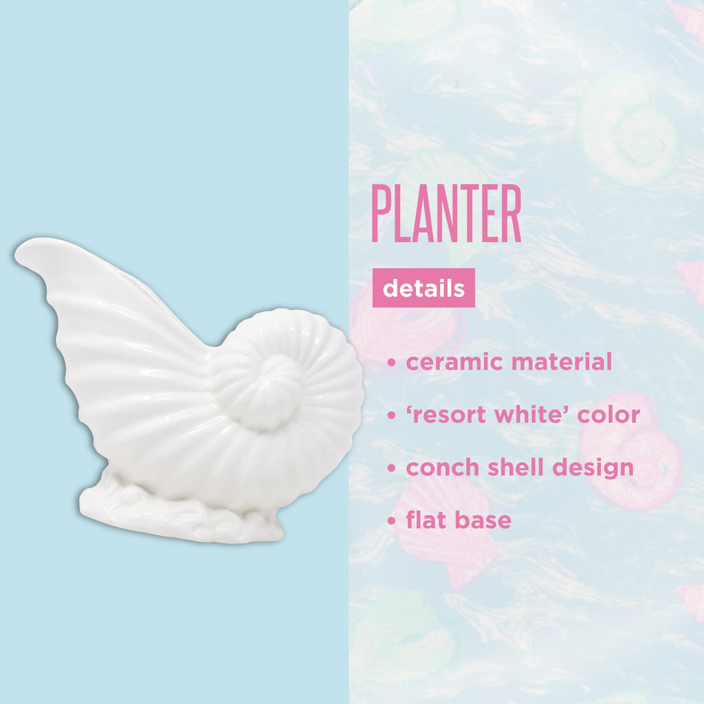 Ceramic Nautilus Shell Shaped Planter, White