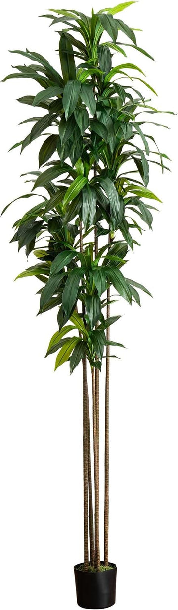 10ft. Artificial Dracaena Tree with Real Touch Leaves
