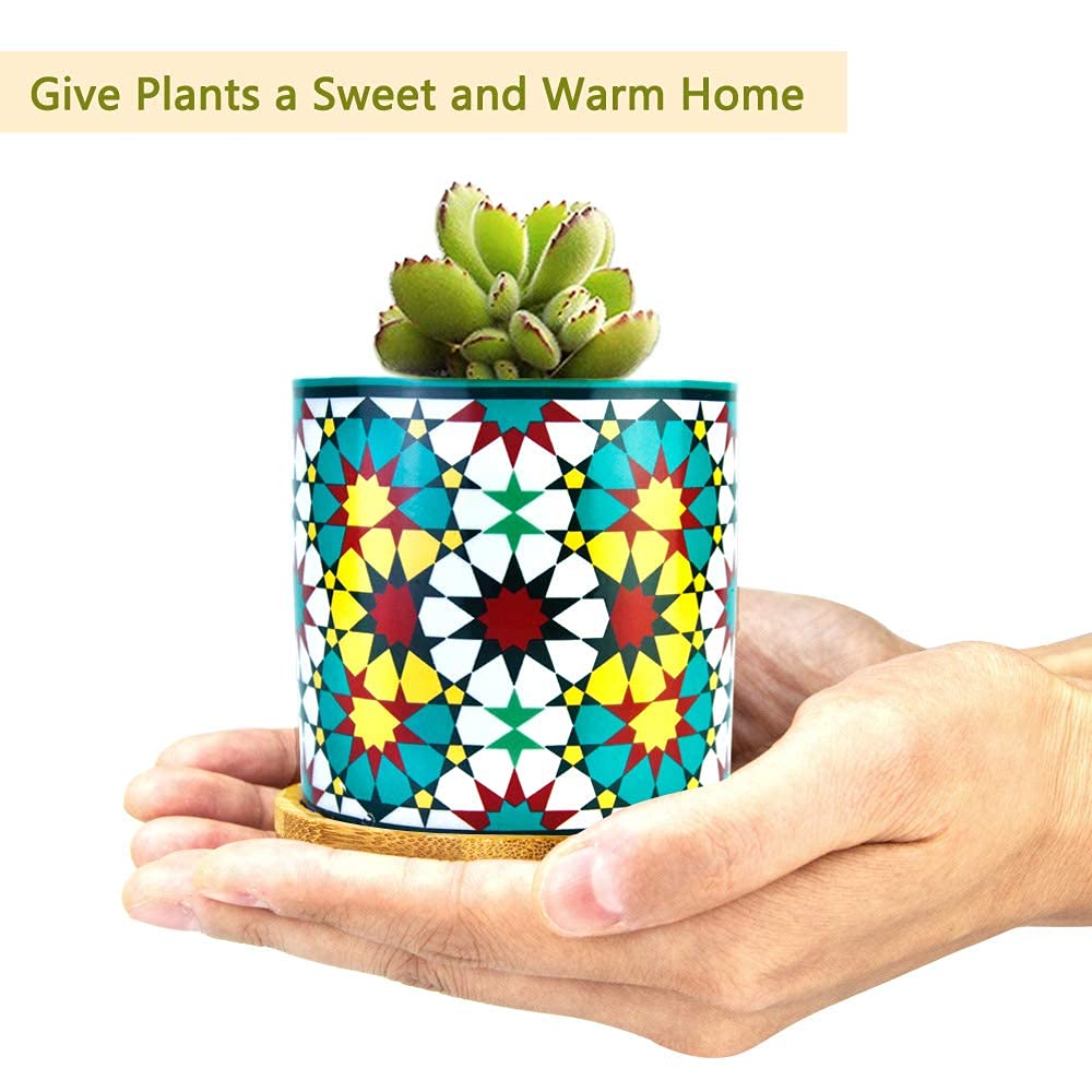 6 Pack Mandala Succulent Plant Pot with Bamboo Trays, Ceramic Multicolored Succulent Container Planter Pot for Small