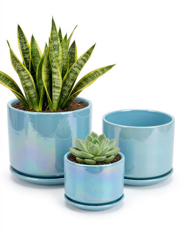 Ceramic Planter 4+5+6 Inch Ceramic Flower pots for Indoor Plants with Drainage, for Succulent Cactus, Garden