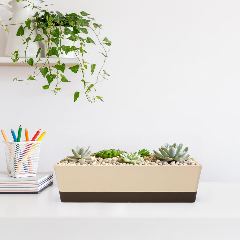 Window Box Herb Planters, 3 Pack 16 x3.8 Inch Indoor Rectangle Succulent Cactus Plant Pots with Saucer, Modern