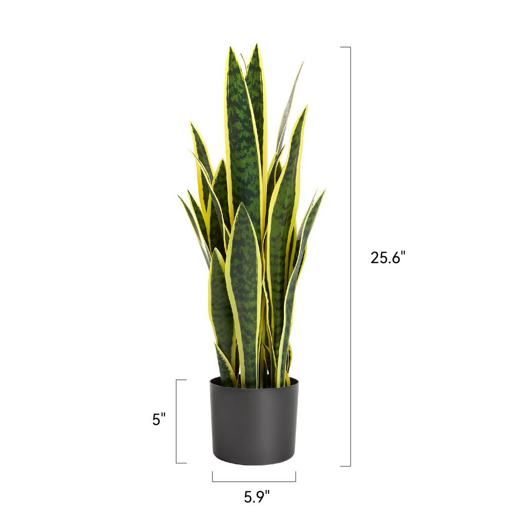 2ft Artificial Snake Plant in Black Pot, 25.6in Faux Sansevieria, Yellow