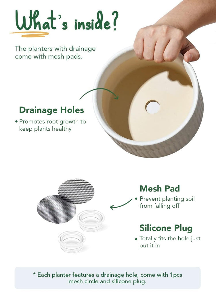 Succulent Pots, 6.5+8 Inch Ceramic Indoor Plant Pot with Drainage Hole, Shallow Round Succulent Planters, Set of 2