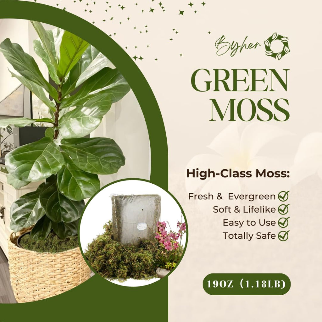 19 OZ Fake Moss for Potted Plants Indoor, Artificial Moss for DIY Crafts, Faux Decroative Moss for Fake Plants Home &