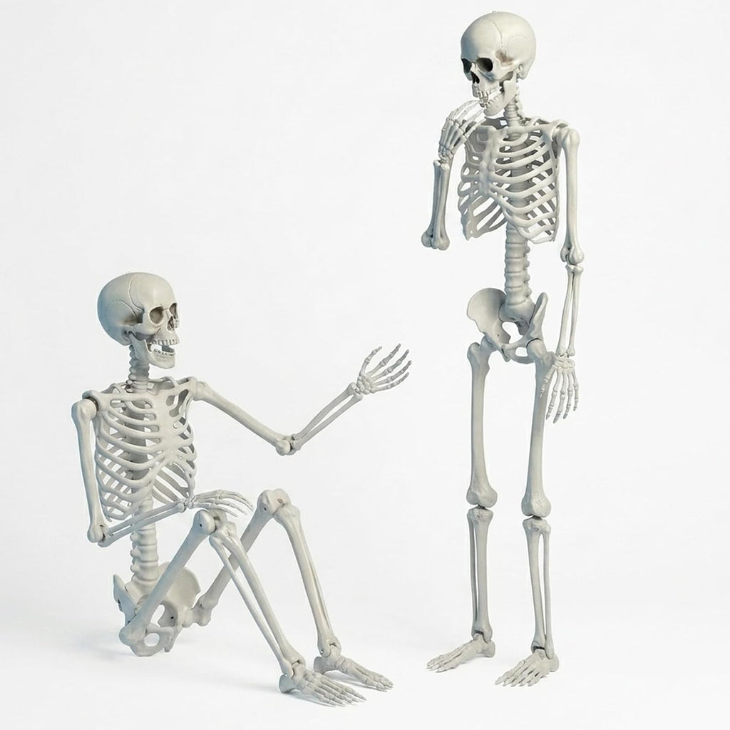 Life Size Skeleton, 5.4Ft/165cm Halloween Skeleton Poseable Skeleton Full Body Human Bones with Movable Joints