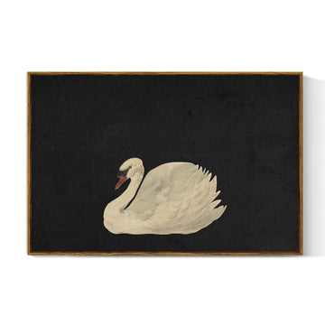 Large Swan Wall Art Vintage Animal Canvas Prints Decor 24x36 Inch