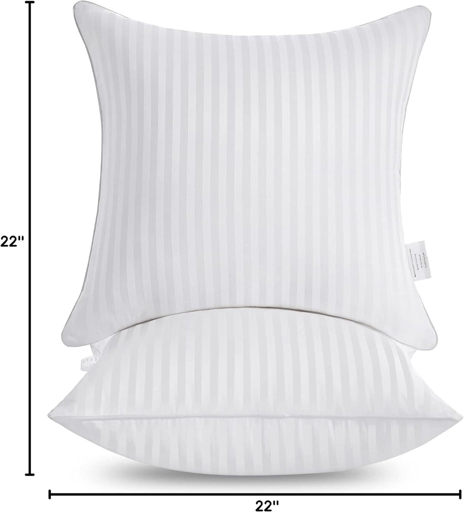 22 x 22 Throw Pillow Inserts - Set of 2