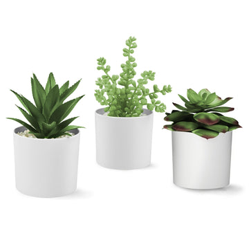 Succulent Plants Artificial in White Pots Small Faux Potted Succulents Fake Plants in Vase Set of 3