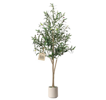 5FT Olive Trees Artificial Indoor, Faux Olive Tree with White Planter
