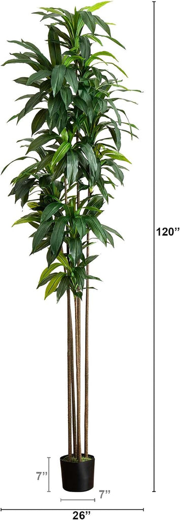 10ft. Artificial Dracaena Tree with Real Touch Leaves