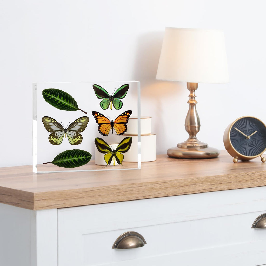 8x10 Acrylic Frame 2 Pack, 20MM Thicker Frameless Clear Picture Frames