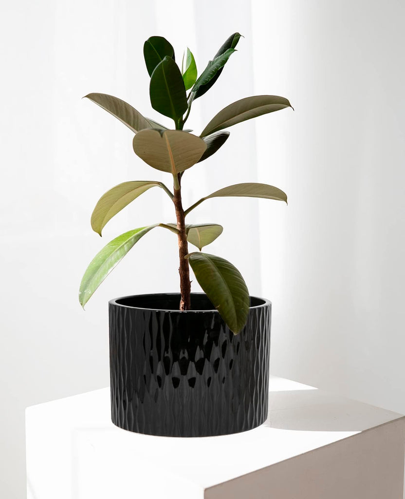 Ceramic Plant Pot with Stand, 10 Inch Planter with Wood Shelf, Modern Round Flower Pots Indoor with Wood Planter