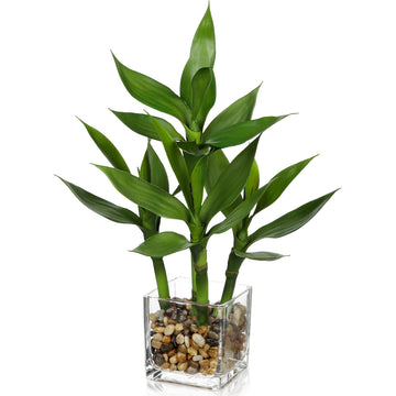Artificial Lucky Bamboo Plant 17.3 Fake Plant in Rectangular Glass Pot for Centerpiece Table Decorations Farmhouse