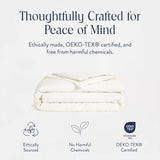Luxury Percale Duvet Cover - 100% Cotton, Cool, Crisp, Extra-Long Corner Ties, Button Closure, Soft & Breathable