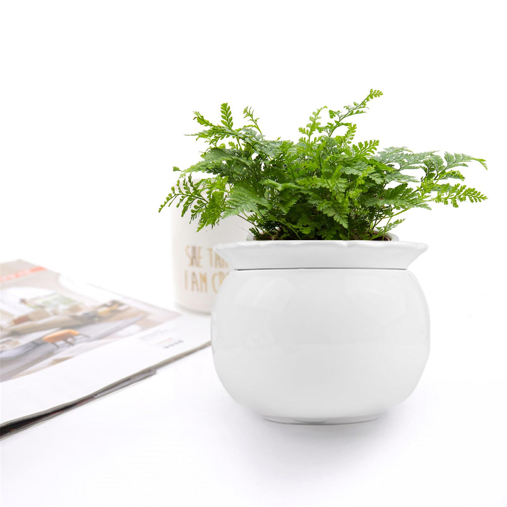 6 Inch Self Watering Ceramic African Violet Pot Flower Pot Indoor