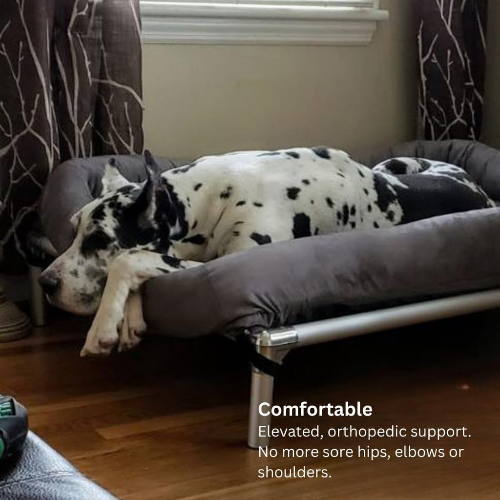 Chewproof Elevated Dog Bed - Silver Aluminum - - Heavy Duty Vinyl - Smoke