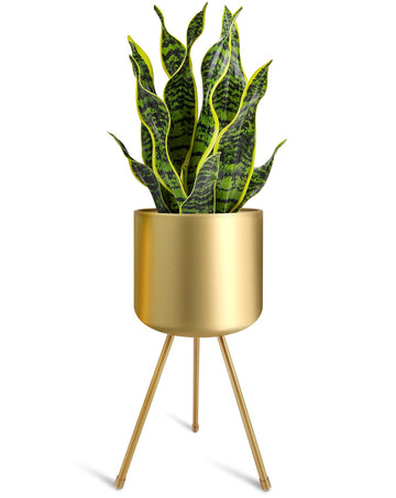 Mid-Century Metal Flowerpot with Stands, Gold Stylish Modern Floor-Standing Flowerpot, Suitable for Orchid, Aloe