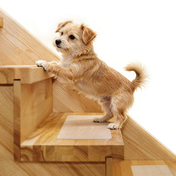 Stair Treads Non Slip 6" x 30", 15-Pack Pre-Cut Clear Anti Slip Strips for Wooden Steps Indoor, Transparent and