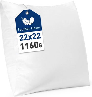 Feather and Down 22x22 Inch Throw Pillow Insert for Sofa Bed Couch