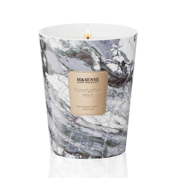 Eucalyptus Mint Scented Soy Candle, 3 Wick Highly Scented 14.1 Oz 75H, Aromatherapy Christmas Gift for Women and Men