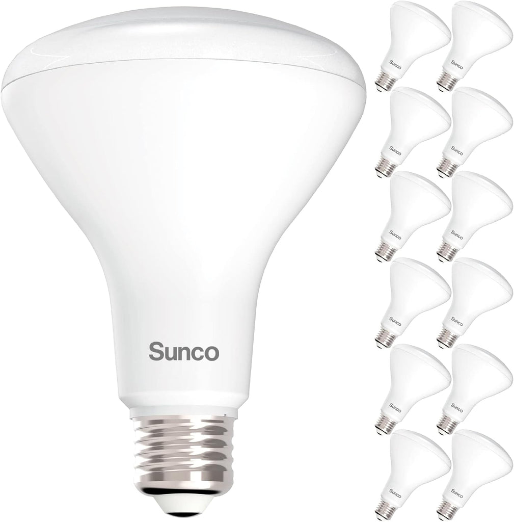 12 Pack BR30 Light Bulbs LED, Recessed Can Light Bulbs, Indoor Flood Bulb, 850 LM, 11W (65W Equivalent), 5000K