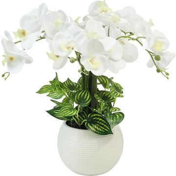 Orchids Artificial Flowers 18in with White Pot Real Touch Fake Orchid
