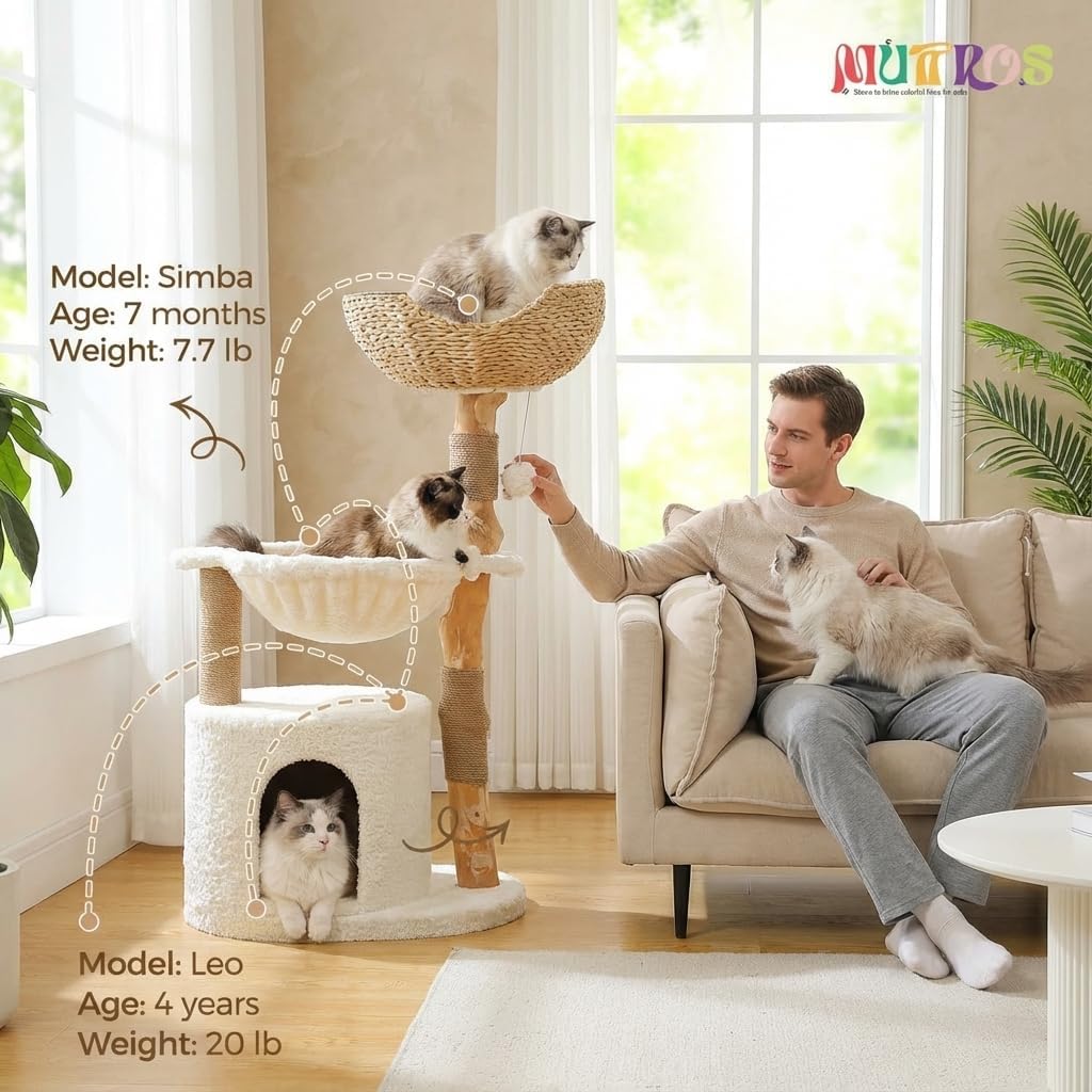 Modern Cat Tree for Large Cats, Wood Cat Tower for Indoor Cats, Real Branch Luxury Cat Furniture with Super Large