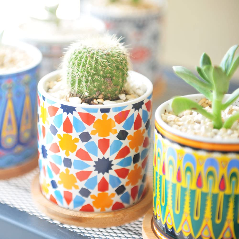6 Pack Mandala Succulent Plant Pot with Bamboo Trays, Ceramic Multicolored Succulent Container Planter Pot for Small