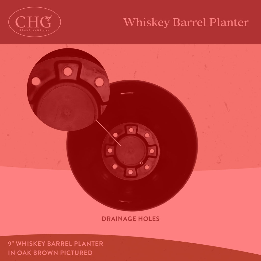 Oval Barrel Planter, Acacia