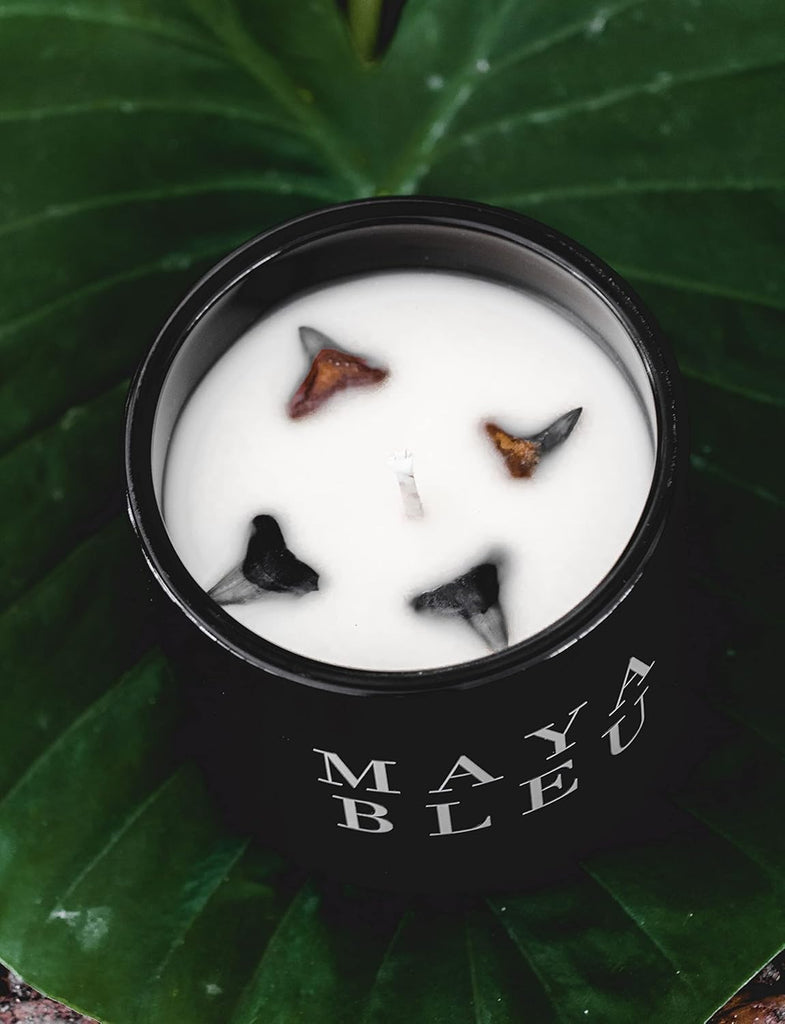 Original Shark Tooth Candle - Handcrafted 100% Soy Candles with 4 Hand-Picked Fossilized Shark Teeth, Buttery Rum &