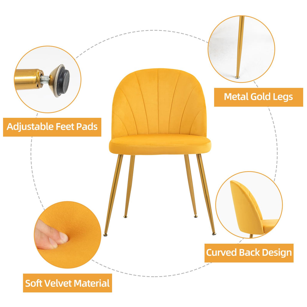 Velvet Dining Chairs Set of 6, Upholstered Mid Century Modern Dining Chairs, Armless Accent Chair with Metal Gold